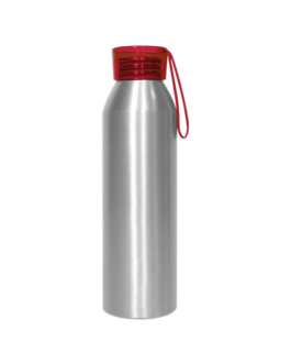 BOTELLA DIT566