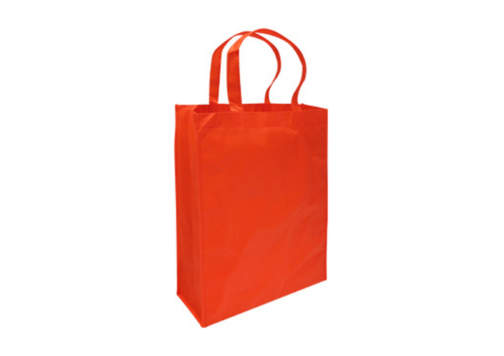 Bolsa Reutilizable (30 x 38 x 8.5 cm) - Imagen 4
