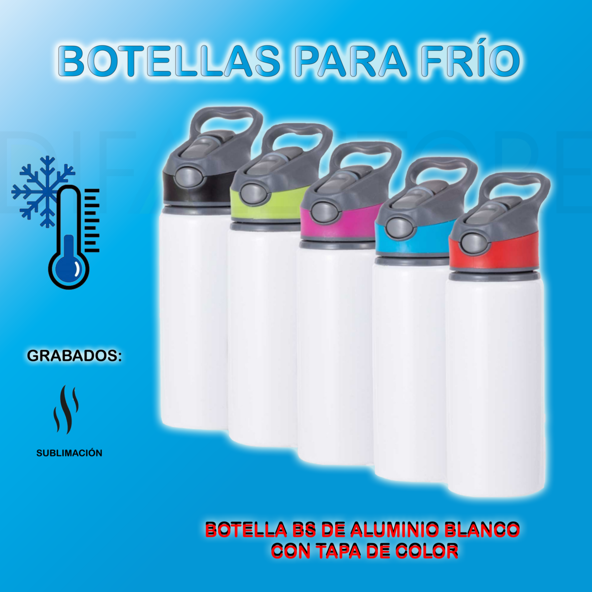 BOTELLA BS ALUMINIO