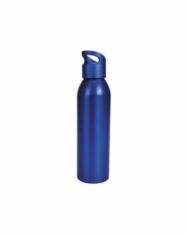 Botella metálica «GLU» 650cc